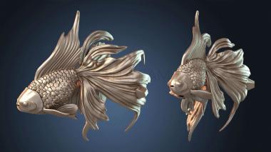 3D модель Sky Walker Fish Tied (STL)