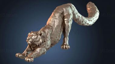 3D модель Растяжка снежного барса (STL)