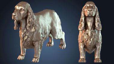 3D модель Спаниель (STL)