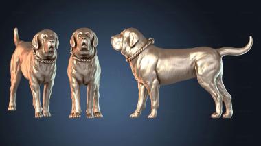 3D модель Испанский мастиф (STL)