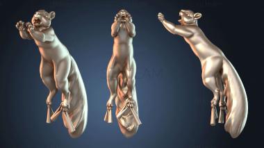 3D модель Молодая белка-спрю (STL)