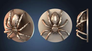 3D модель Женский Стидер (STL)