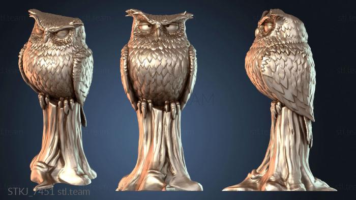 Stretch Goal Civetta