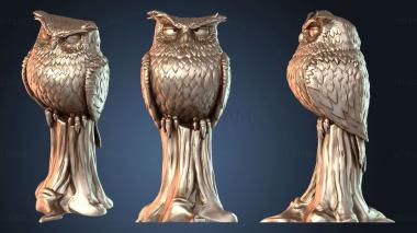 3D модель Stretch Goal Civetta (STL)