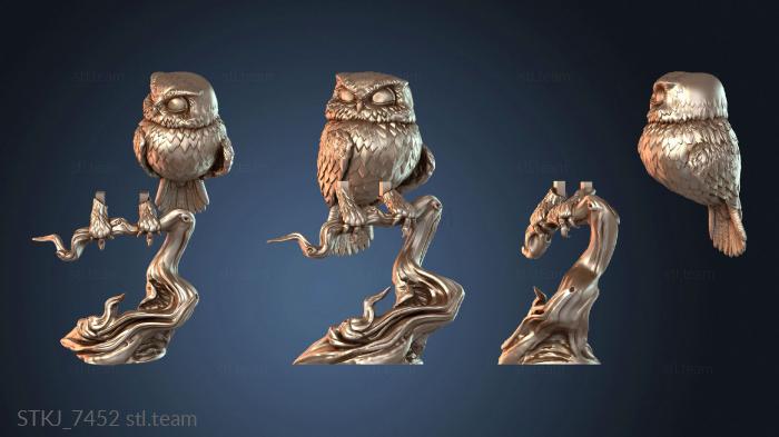 Stretch Goal Civetta Noble