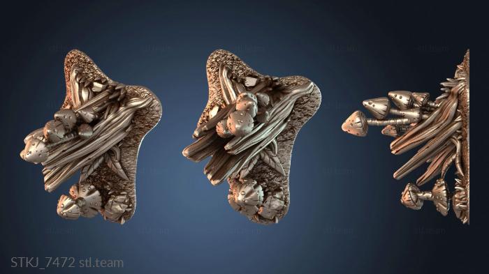 Высокие грибы молодые