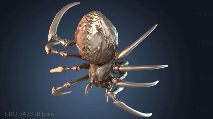 Прирученный австралийский паучок