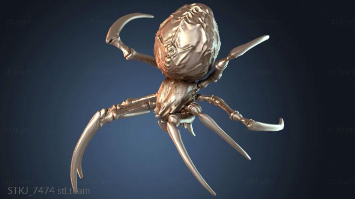 Прирученный австралийский паучок-смелый