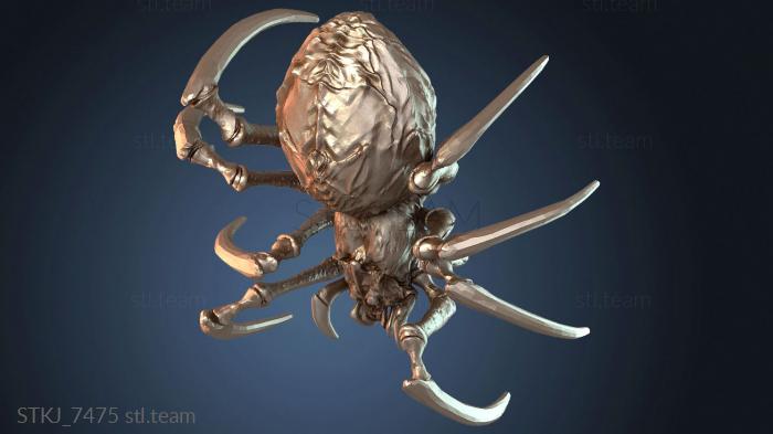 Прирученный австралийский паучок в дикой природе