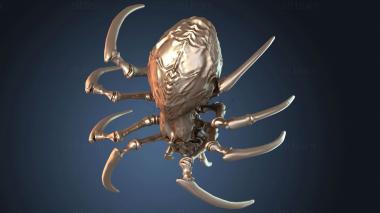 3D model Tamed Australian Spiderling Watchful (STL)