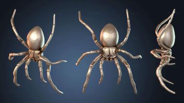 3D model Tarantula Spider (STL)