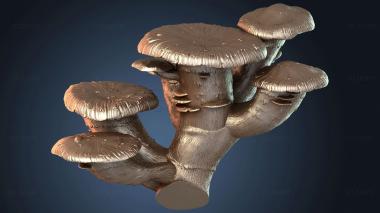 3D модель Террейн Грибной Гигант (STL)