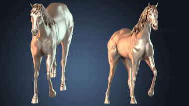 3D модель Чистокровная верховая лошадь (STL)