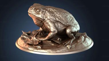 3D модель Жаба гуляет по дикой природе (STL)