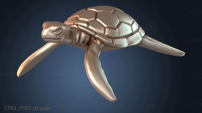 Черепахи Океана