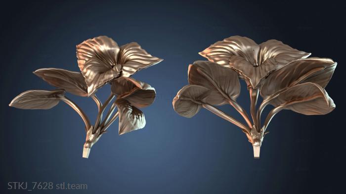 Вита Гот Фея Летучая Мышь