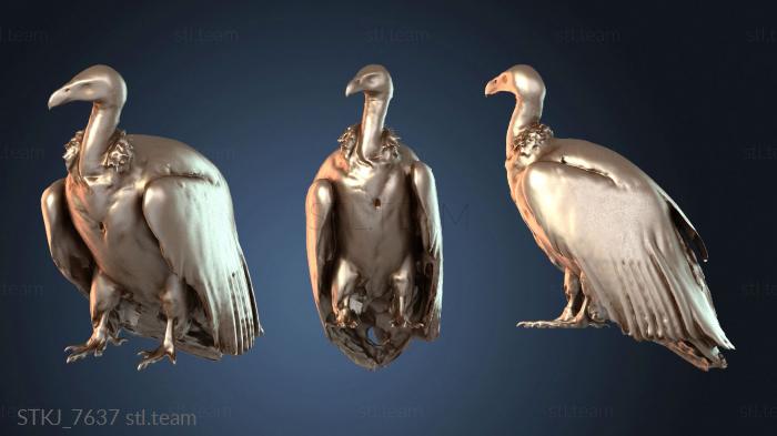 Стервятник Гиблый