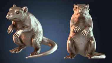 3D модель Крыса из колодцев (STL)