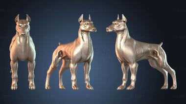 3D model Wild Dog A (STL)