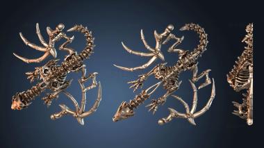 3D модель Плоская пластина «Драконье крыло привидения» V (STL)