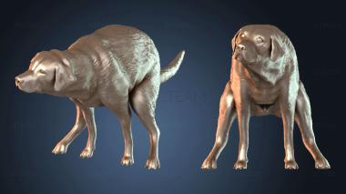 3D модель STKJ_7751 (STL)