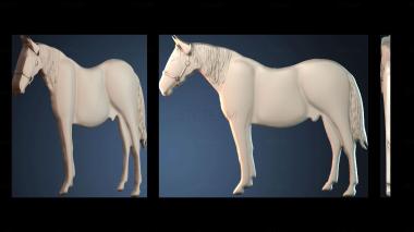 3D модель STKJ_7779 (STL)