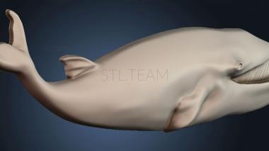 3D модель STKJ_7781 (STL)