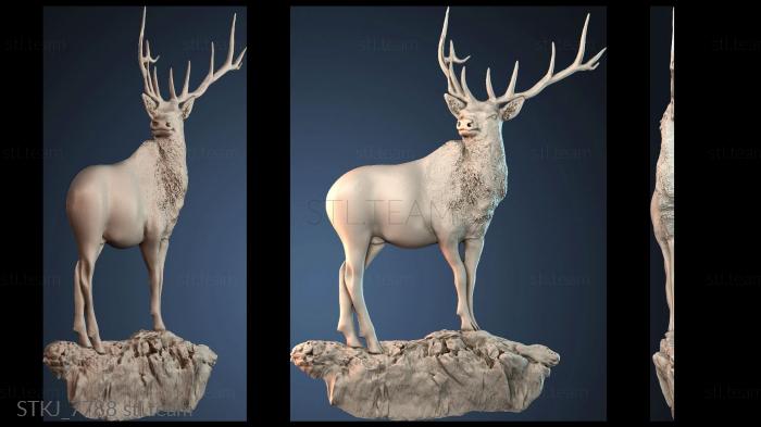 Статуэтки животных STKJ_7788