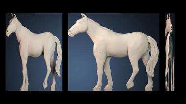 3D модель STKJ_7812 (STL)