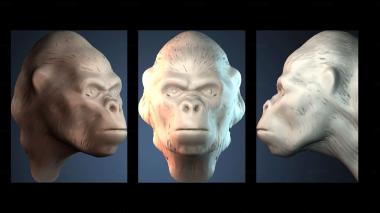 3D model STKJ_7829 (STL)