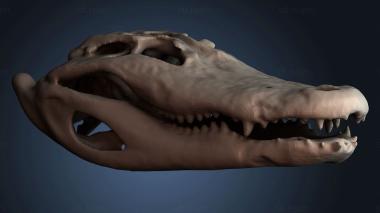 3D модель STKJ_7896 (STL)