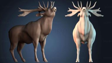 3D модель STKJ_7934 (STL)