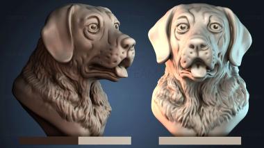 3D модель STKJ_7939 (STL)