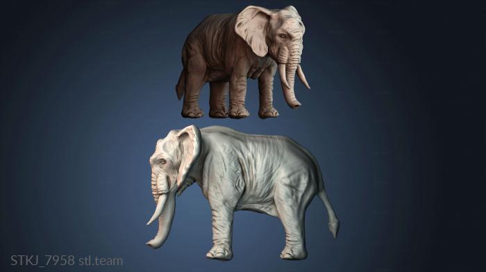 Статуэтки животных STKJ_7958