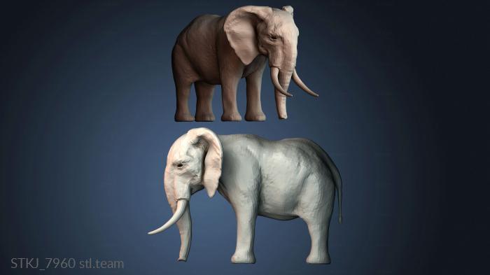 Статуэтки животных STKJ_7960