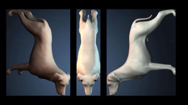 3D модель STKJ_8048 (STL)