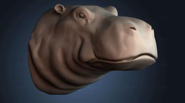 3D model STKJ_8074 (STL)