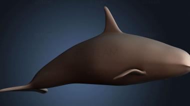 3D модель STKJ_8138 (STL)