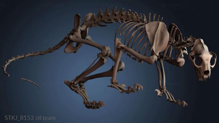 Статуэтки животных STKJ_8153