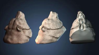 3D модель STKJ_8214 (STL)