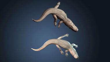 3D модель STKJ_8243 (STL)