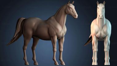 3D model STKJ_8354 (STL)