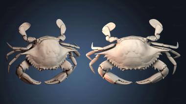 3D модель STKJ_8370 (STL)