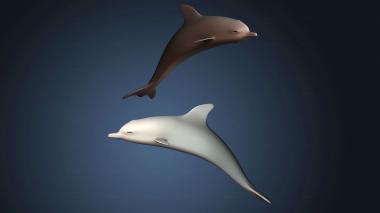 3D модель STKJ_8396 (STL)