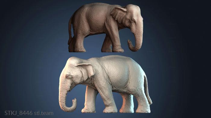 Статуэтки животных STKJ_8446