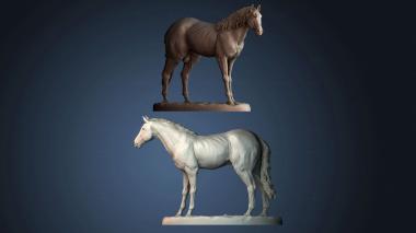 3D модель STKJ_8451 (STL)