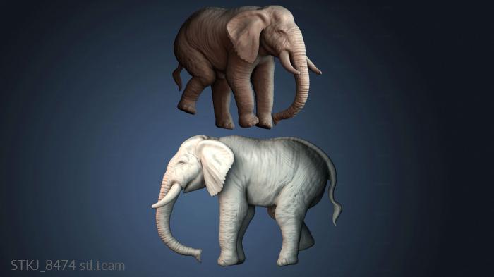 Статуэтки животных STKJ_8474