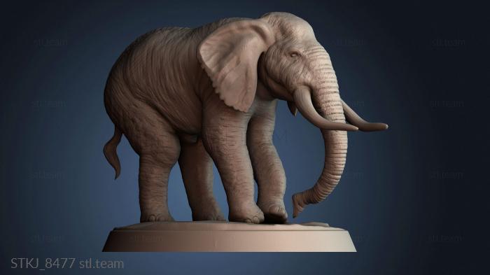 Статуэтки животных STKJ_8477