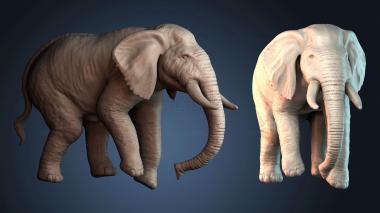 3D model Elephant (STL)