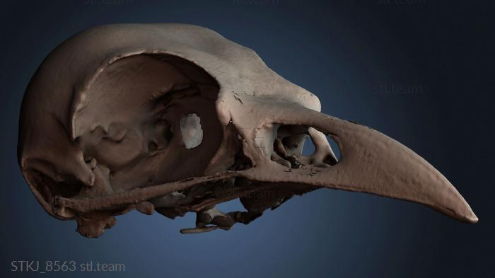 Статуэтки животных STKJ_8563